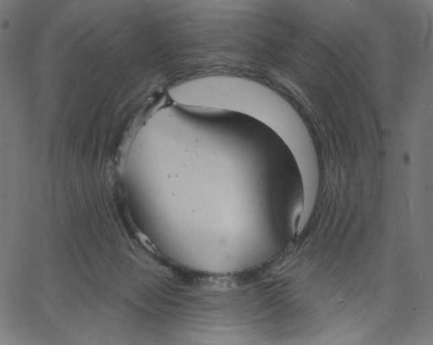X0000067490077200604281528