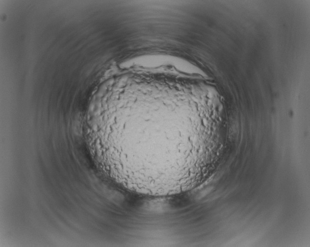 X0000067490078200604281528