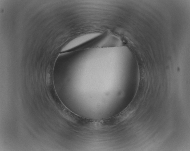 X0000067490080200604281528