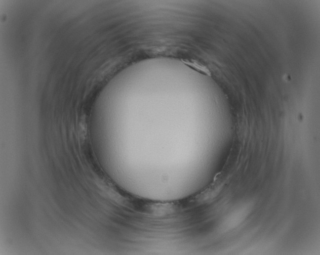 X0000067490085200604281528