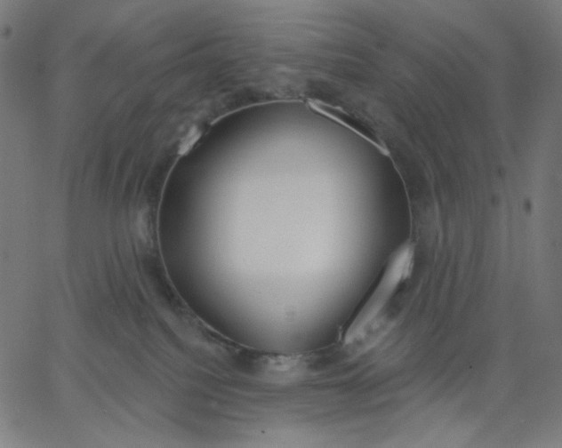 X0000067490088200604281528
