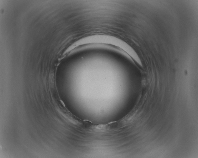 X0000067490092200604281528