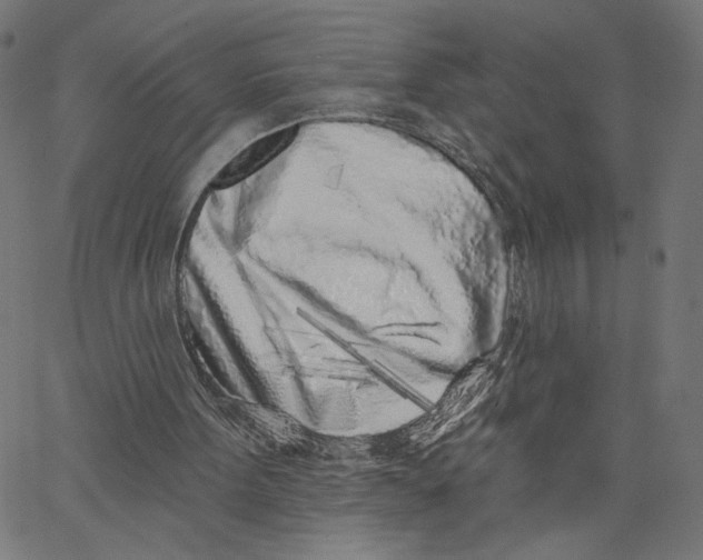 X0000067490099200604281528