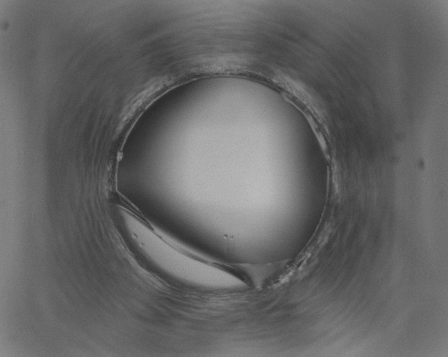 X0000067490105200604281527