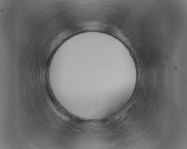 X0000067490106200604281527