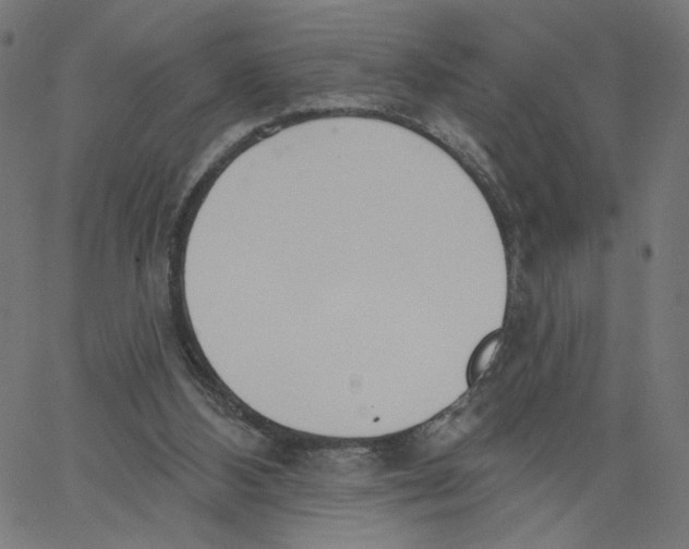 X0000067490108200604281527