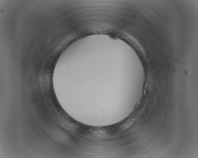 X0000067490113200604281527