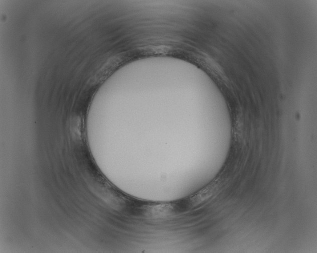 X0000067490122200604281527