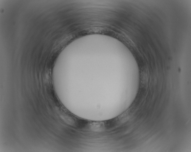 X0000067490126200604281527