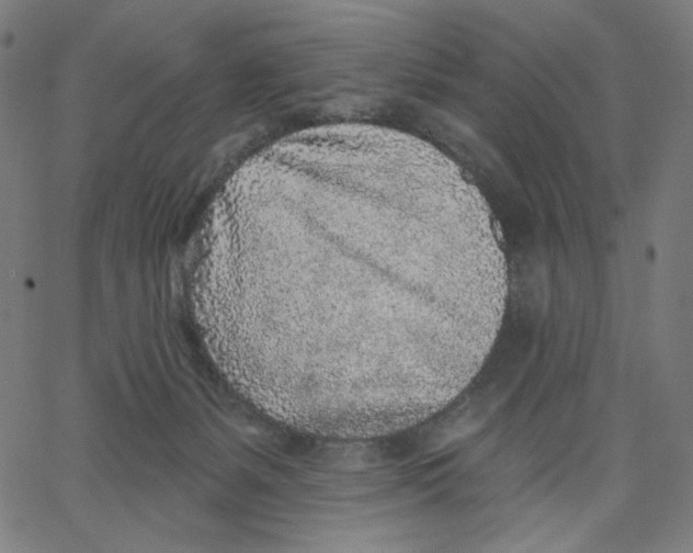 X0000067490127200604281527