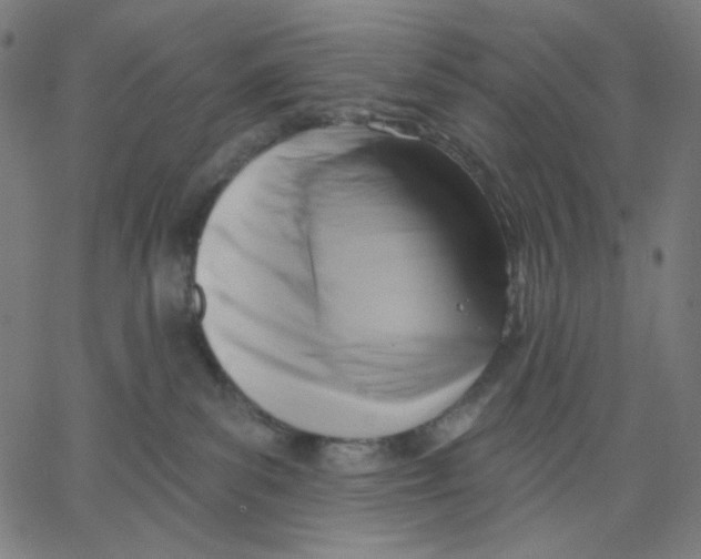 X0000067490139200604281527