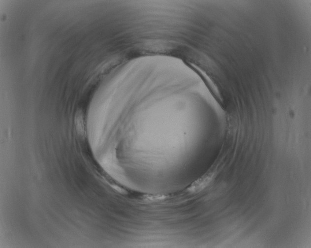 X0000067490143200604281527