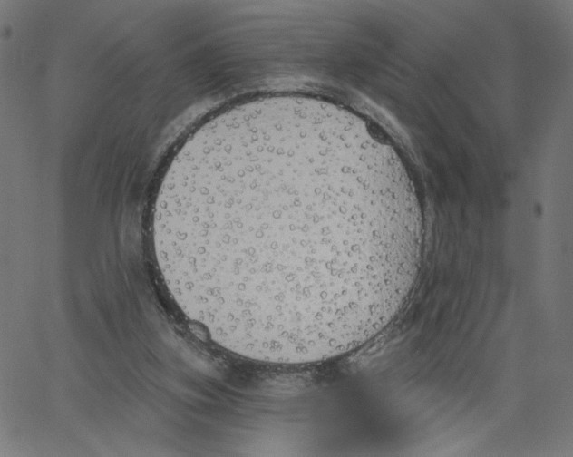 X0000067490155200604281526