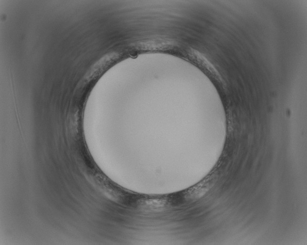 X0000067490163200604281526