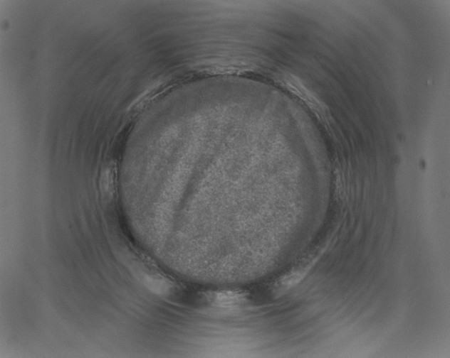 X0000067490165200604281526