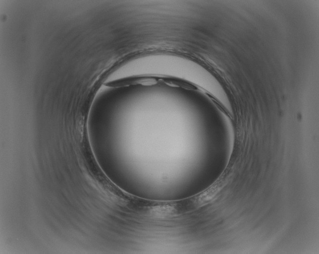 X0000067490168200604281526
