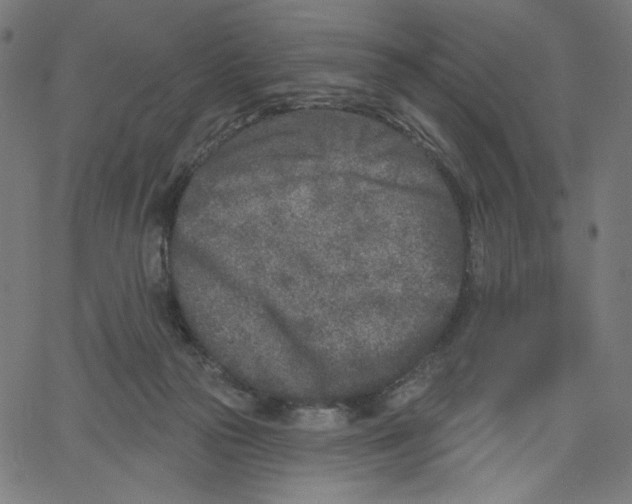 X0000067490169200604281526