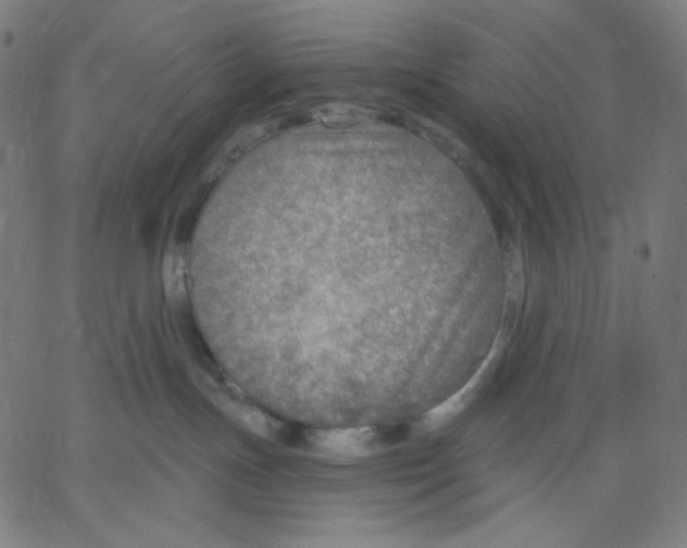 X0000067490191200604281527