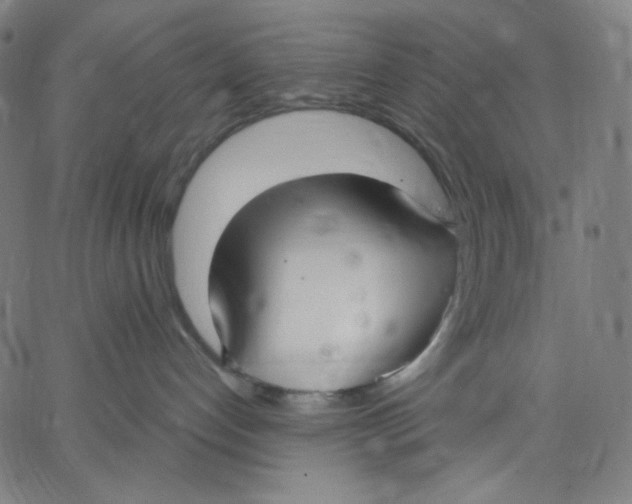 X0000067490192200604281527