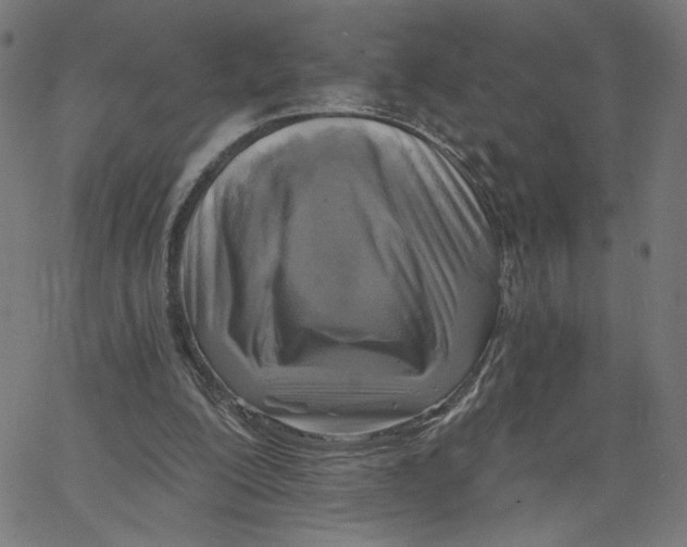 X0000067490200200604281526