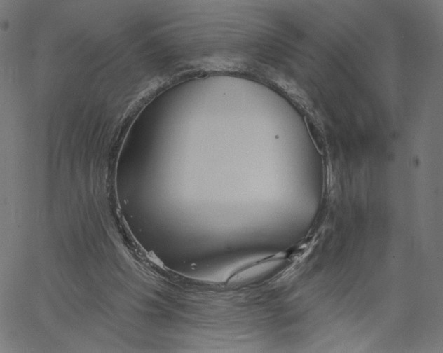 X0000067490201200604281526