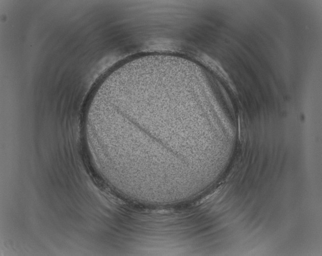 X0000067490204200604281526