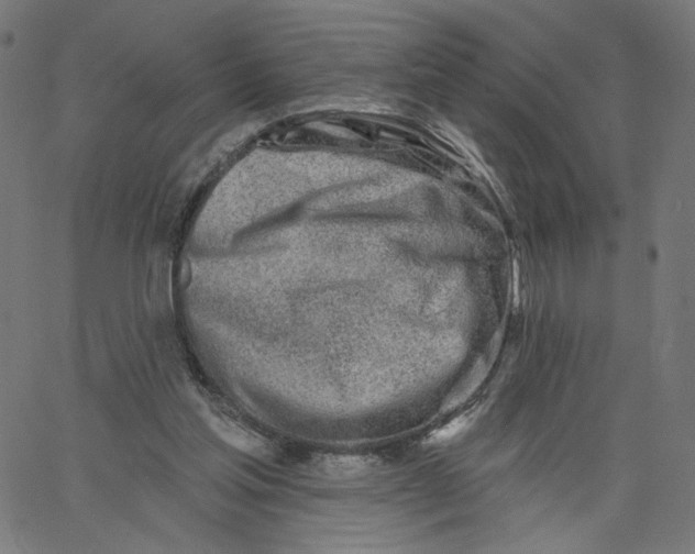 X0000067490205200604281526