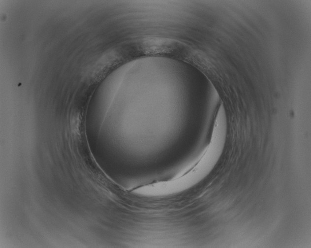 X0000067490219200604281525