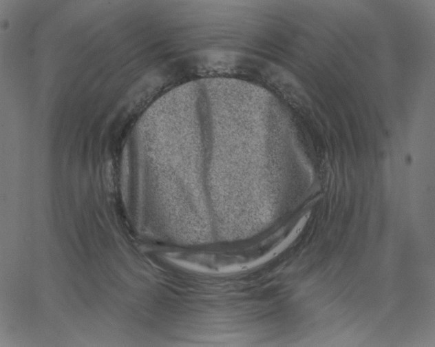X0000067490224200604281525