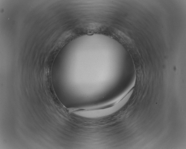 X0000067490225200604281525