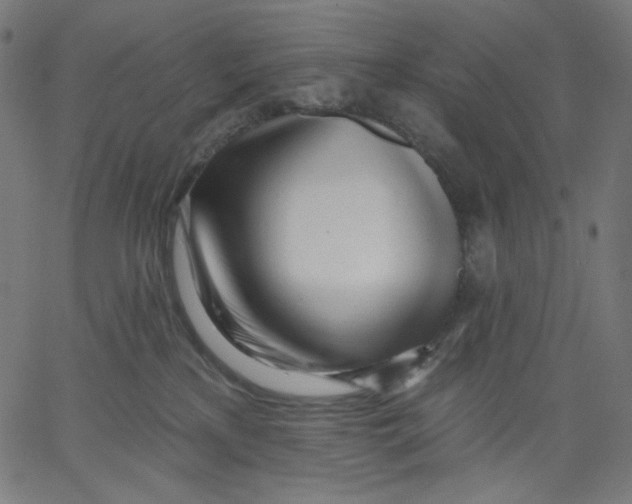 X0000067490233200604281525