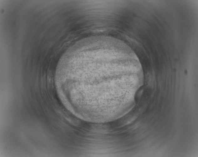X0000067490234200604281525