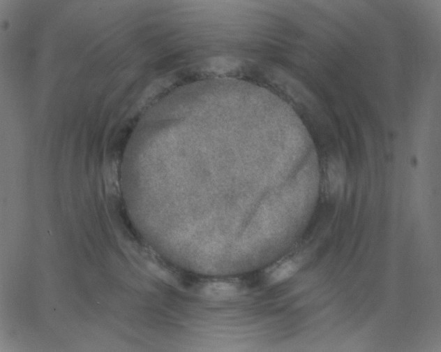X0000067490236200604281525