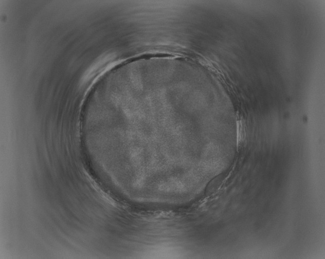 X0000067490243200604281524