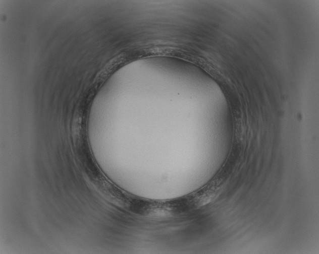 X0000067490263200604281525