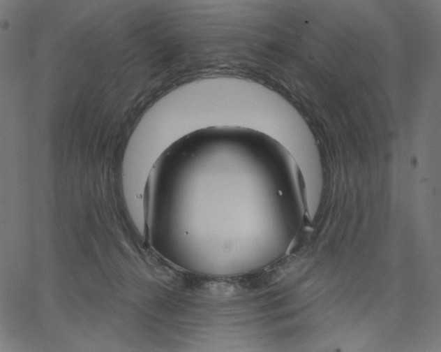 X0000067490272200604281525