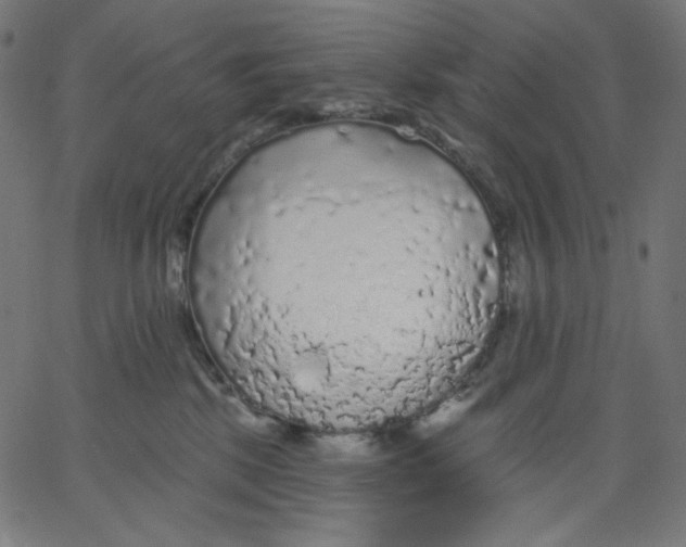 X0000067490281200604281525
