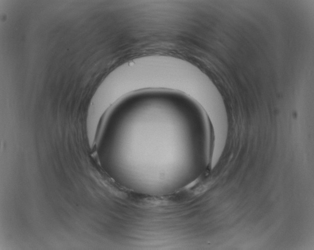 X0000067490284200604281525