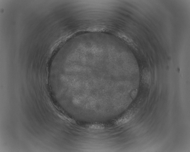 X0000067490303200604281524