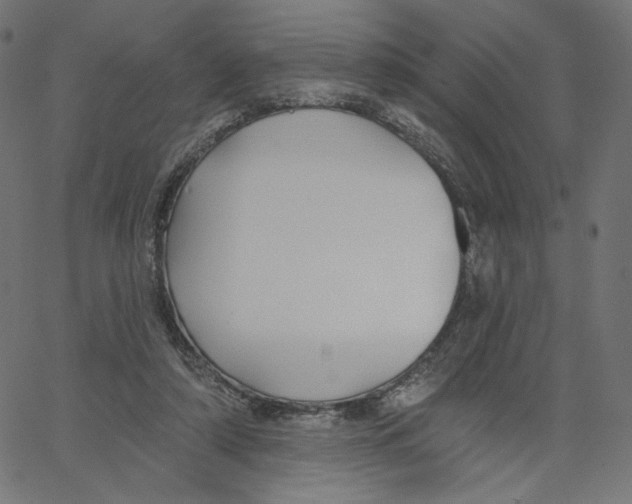 X0000067490306200604281524