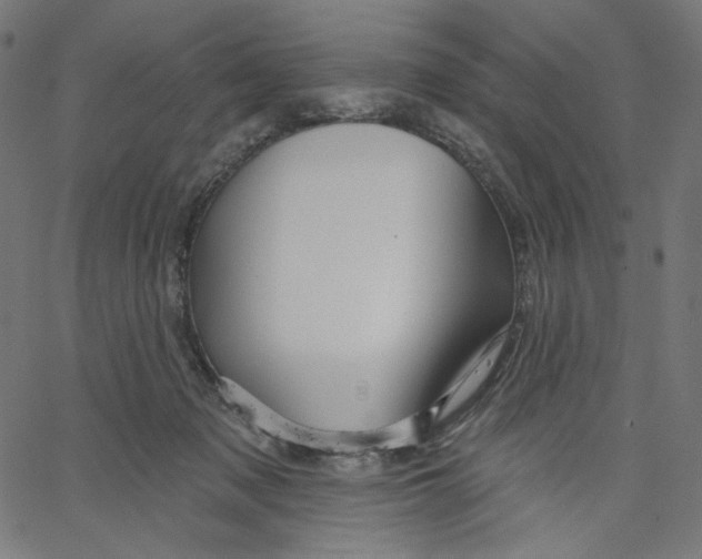 X0000067490317200604281524