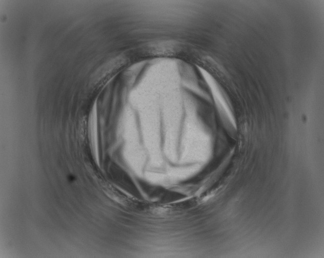 X0000067490325200604281524