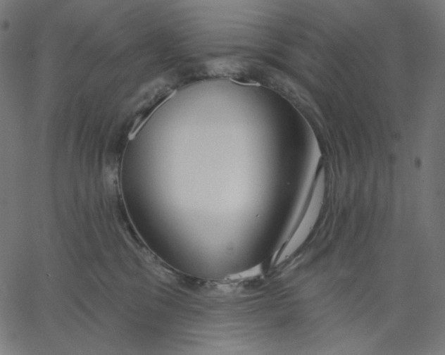 X0000067490329200604281524