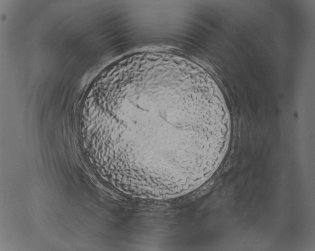 X0000067490337200604281523