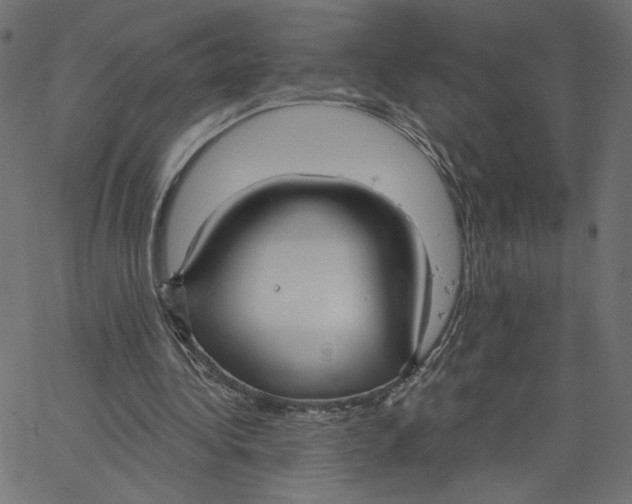 X0000067490340200604281523