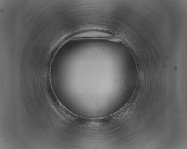 X0000067490352200604281523