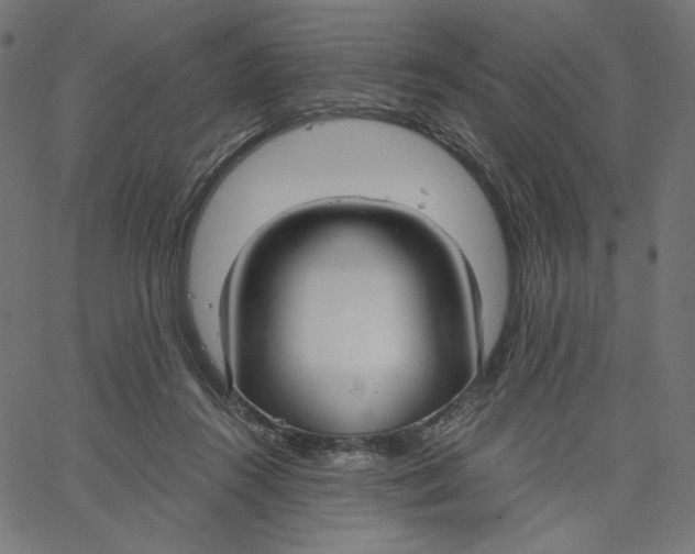 X0000067490360200604281523