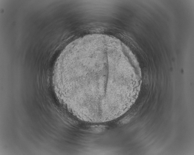 X0000067490363200604281523