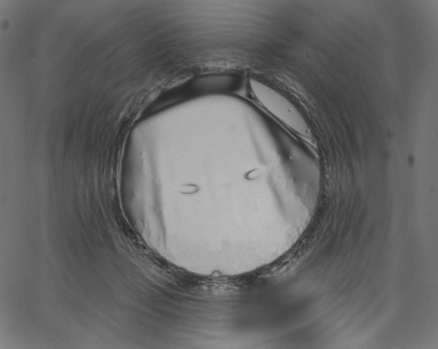 X0000067490365200604281523