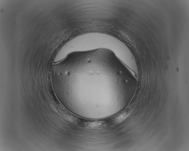 X0000067490366200604281523